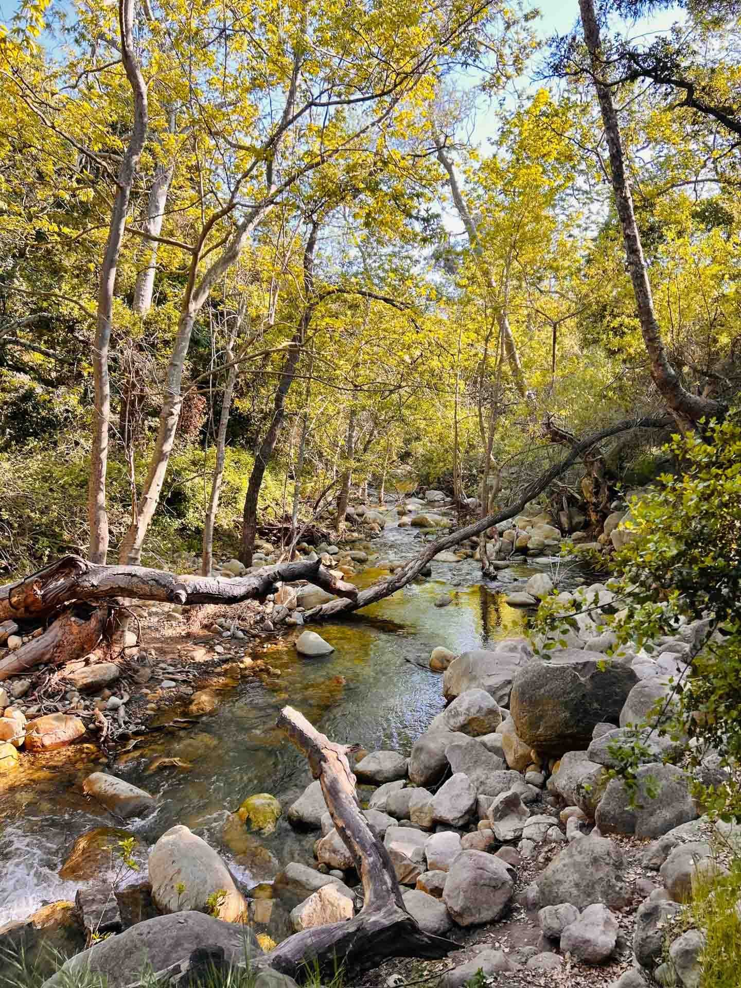 Mindy-Rainey-Mini-Sessions-Santa-Barbara-2